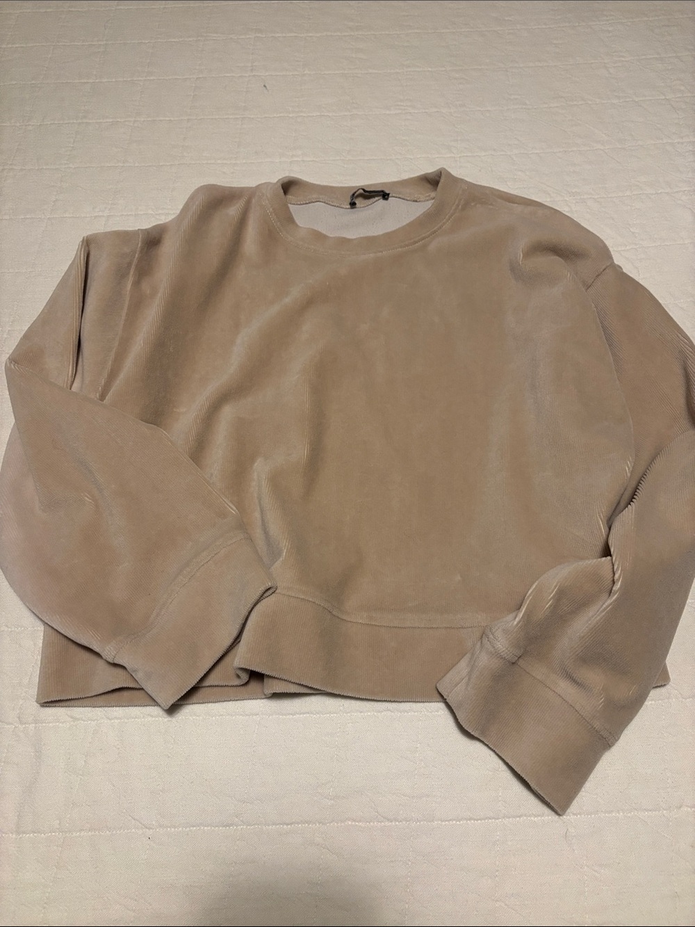 Zara Taupe Crewneck Sweatshirt